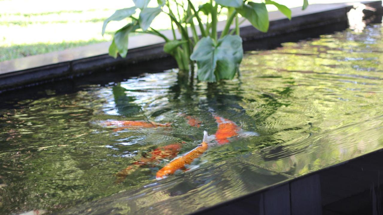 Ecolux Boutique Hotel Komatipoort Ngoại thất bức ảnh