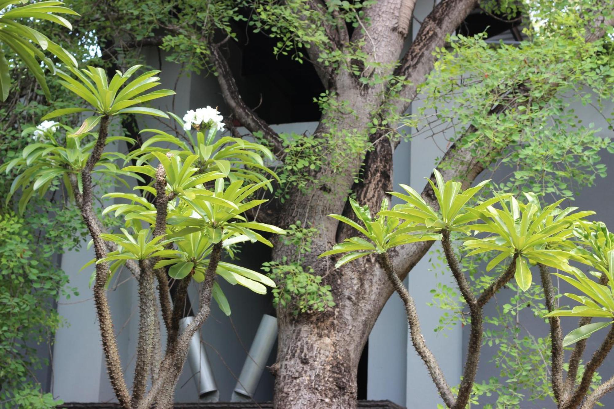 Ecolux Boutique Hotel Komatipoort Ngoại thất bức ảnh