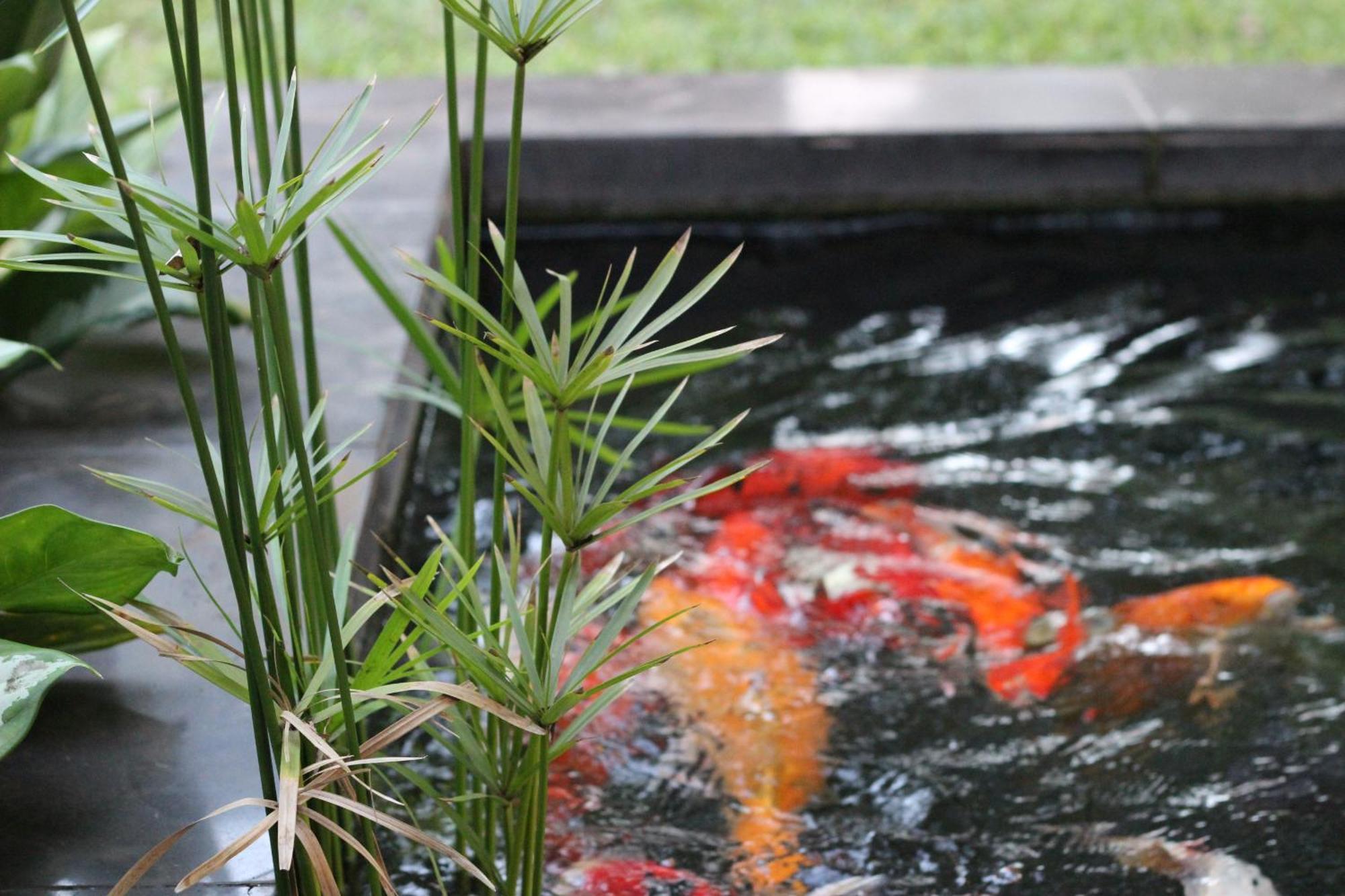 Ecolux Boutique Hotel Komatipoort Ngoại thất bức ảnh